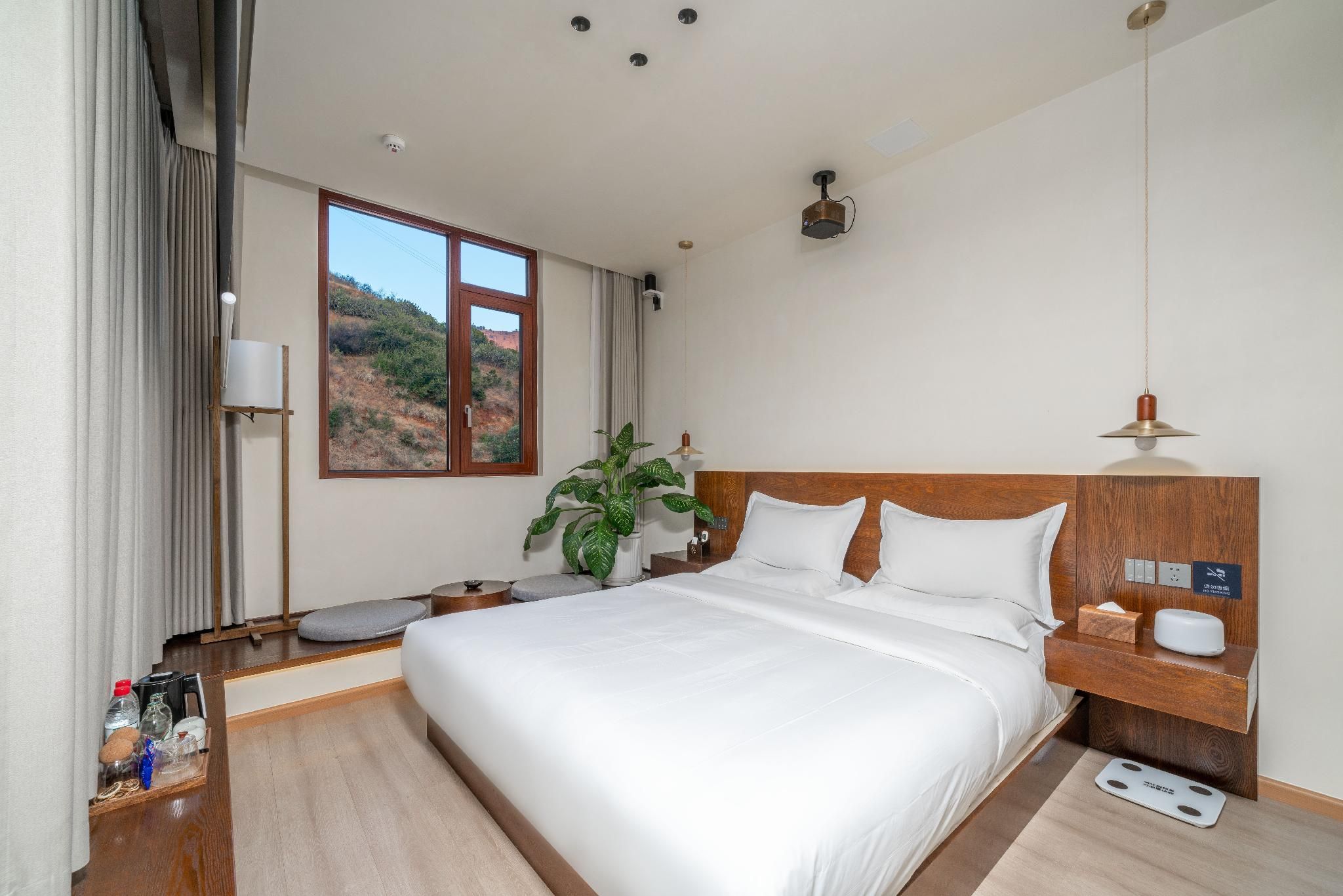 Mountain View Queen Room
