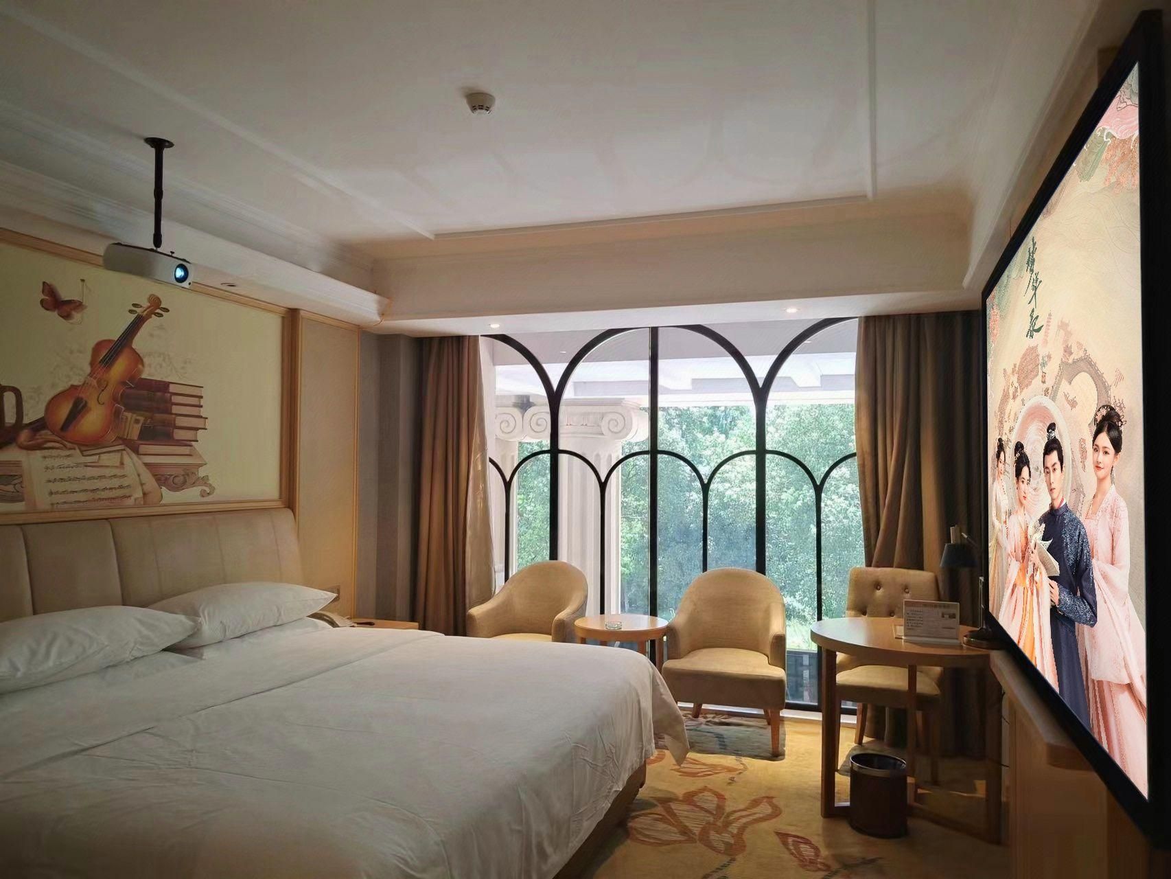 Vienna - Cinema Bed Room