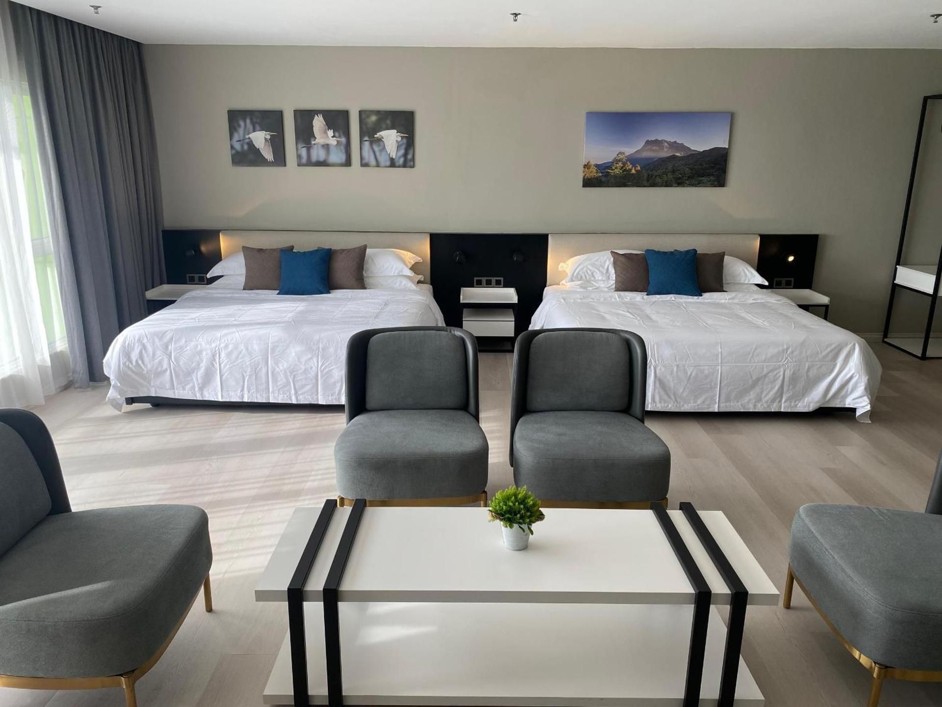 Family Suite