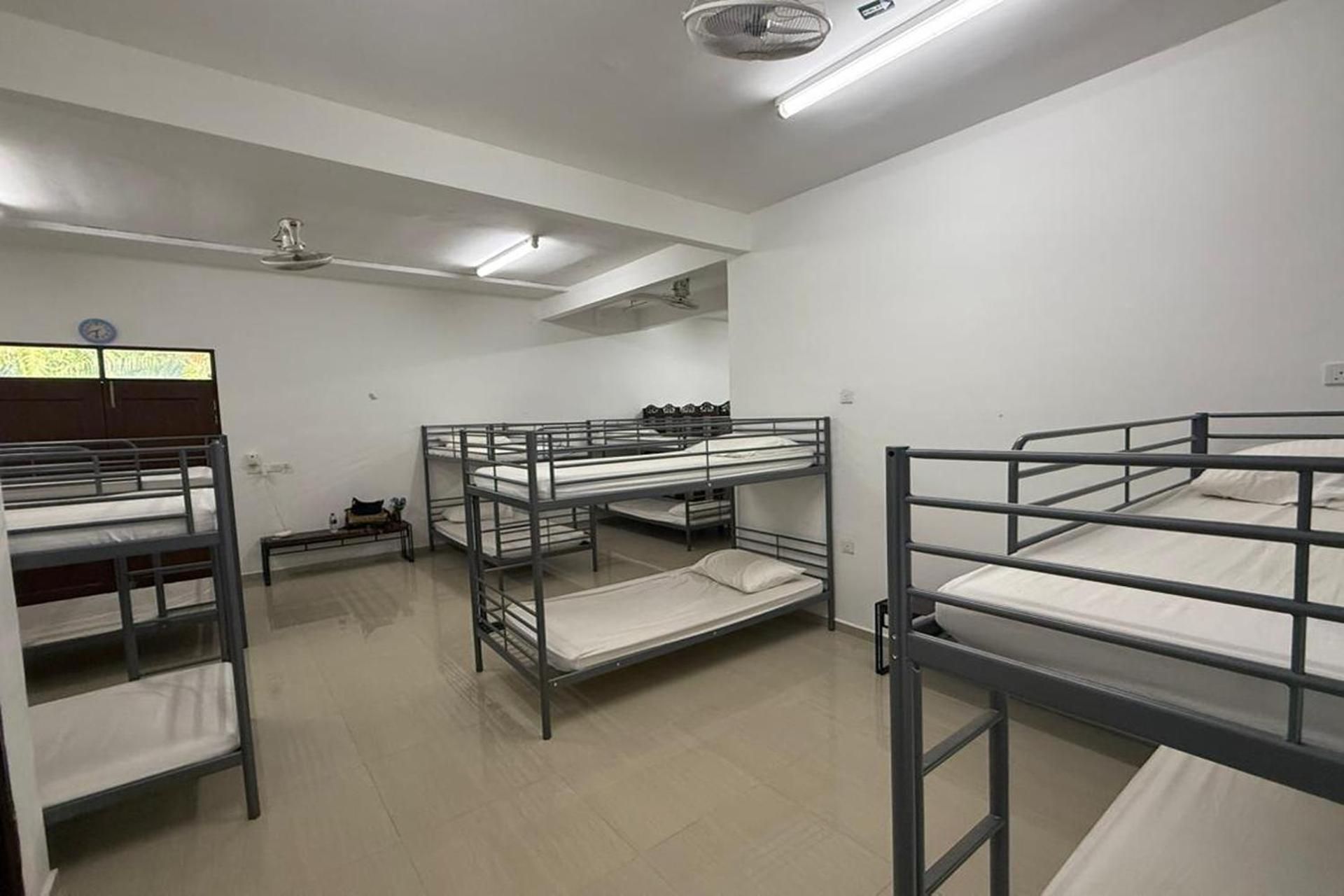 Bunk Bed in Mixed Dormitory Room