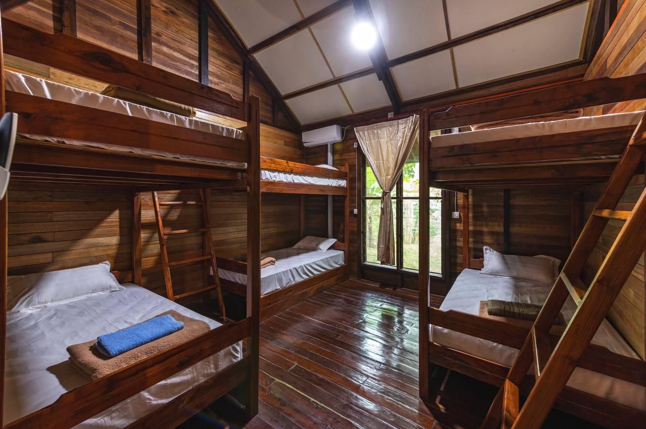 borneo sepilok rainforest resort Dormitory Room with Single Bed