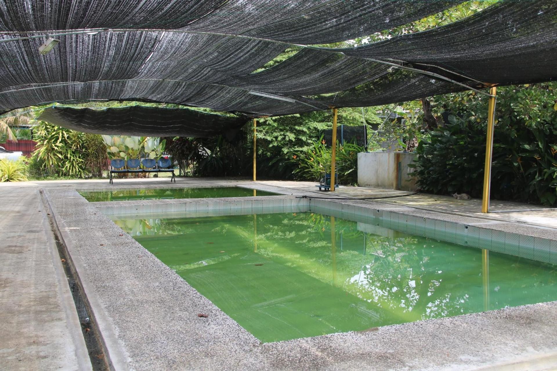 swimming pool