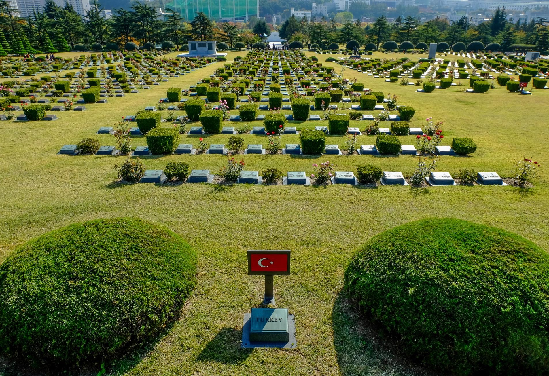 Busan Daeyeondong Hotel Smith