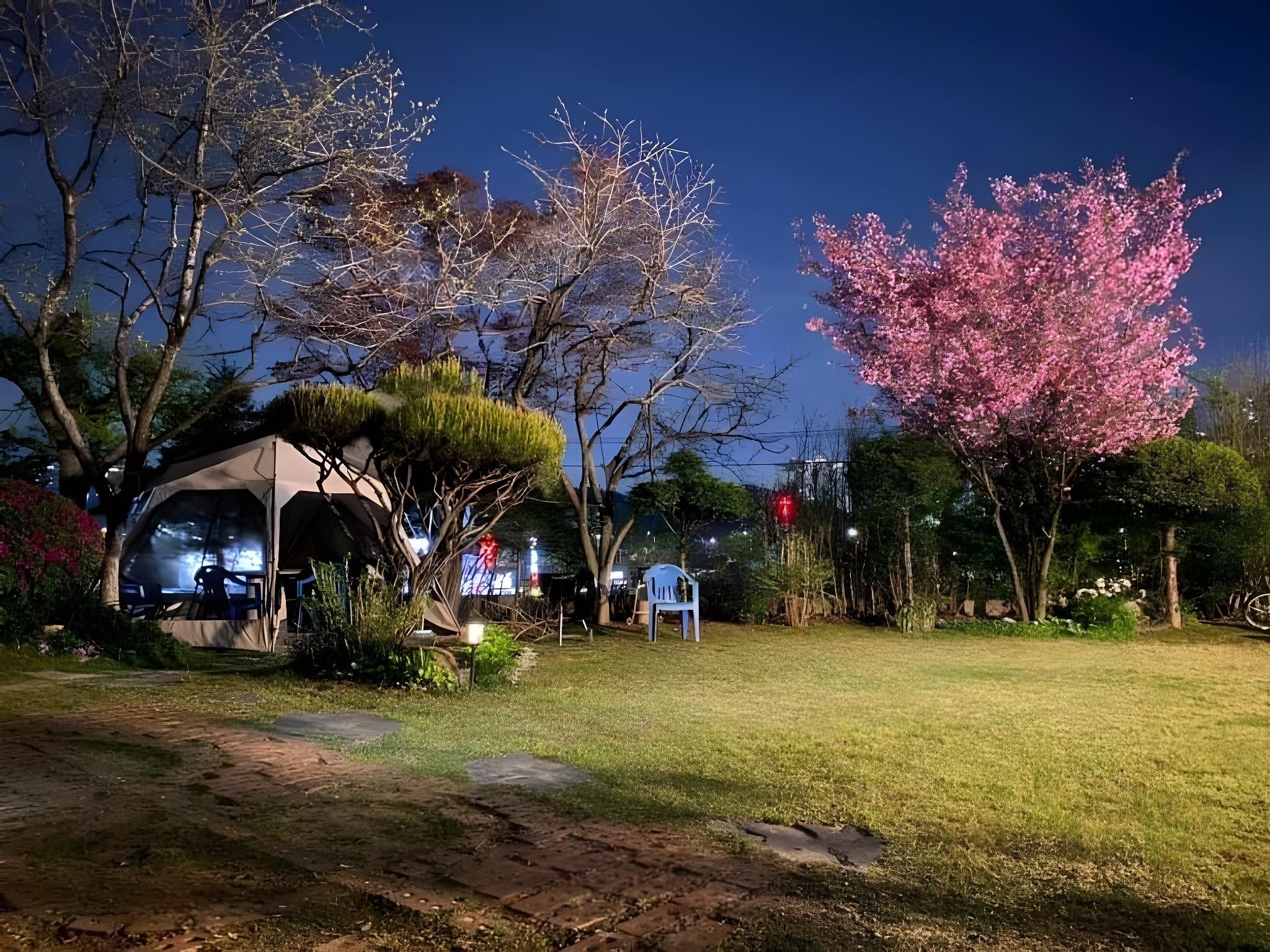 505d92f41a1ddb6543e88b7265814a62