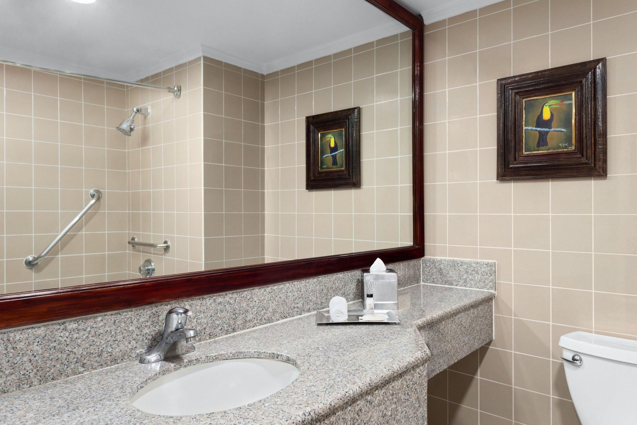 Delta Hotels by Marriott San Jose Aurola Standard, Guest room, 2 Double, City view 3