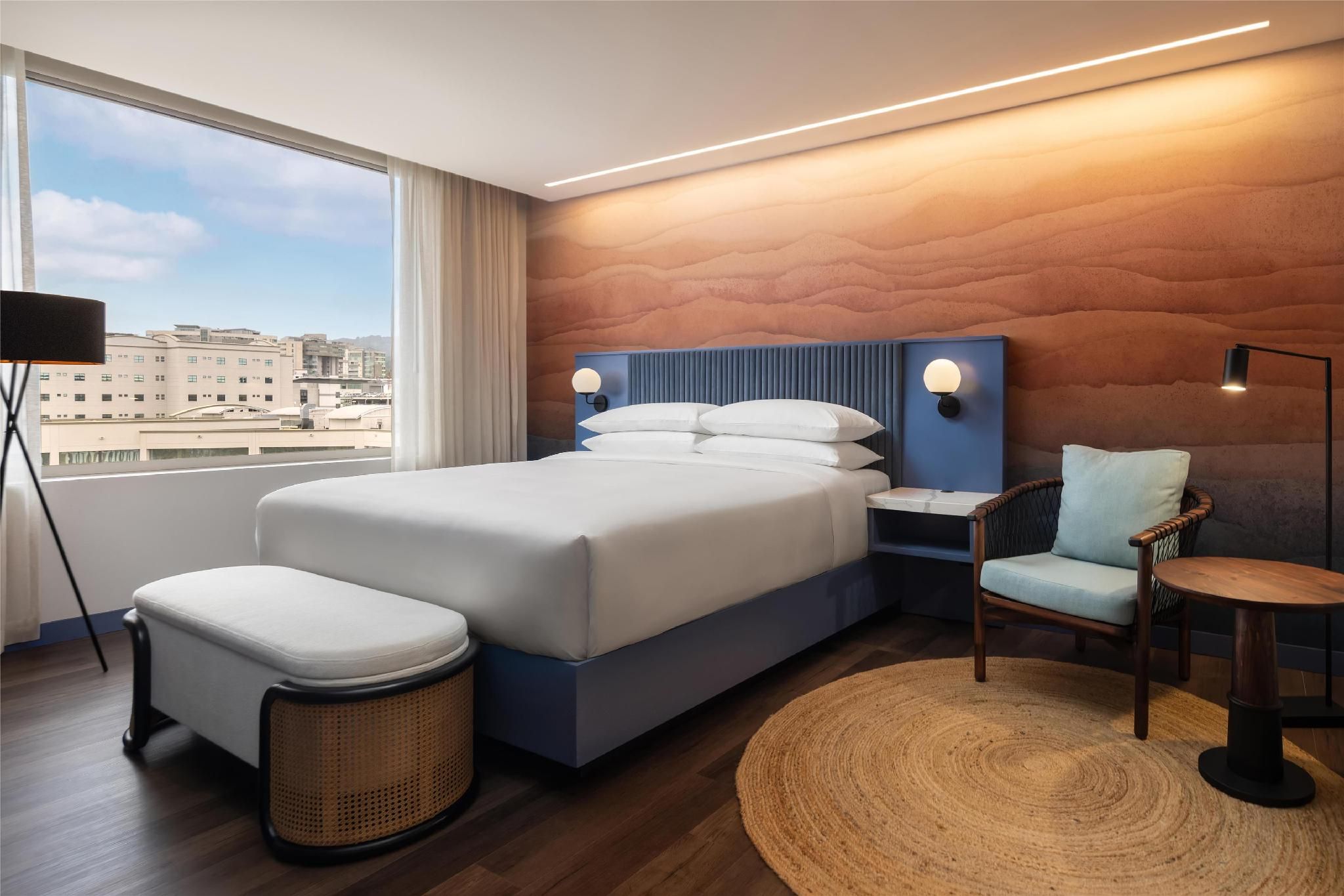 1 King Bed View