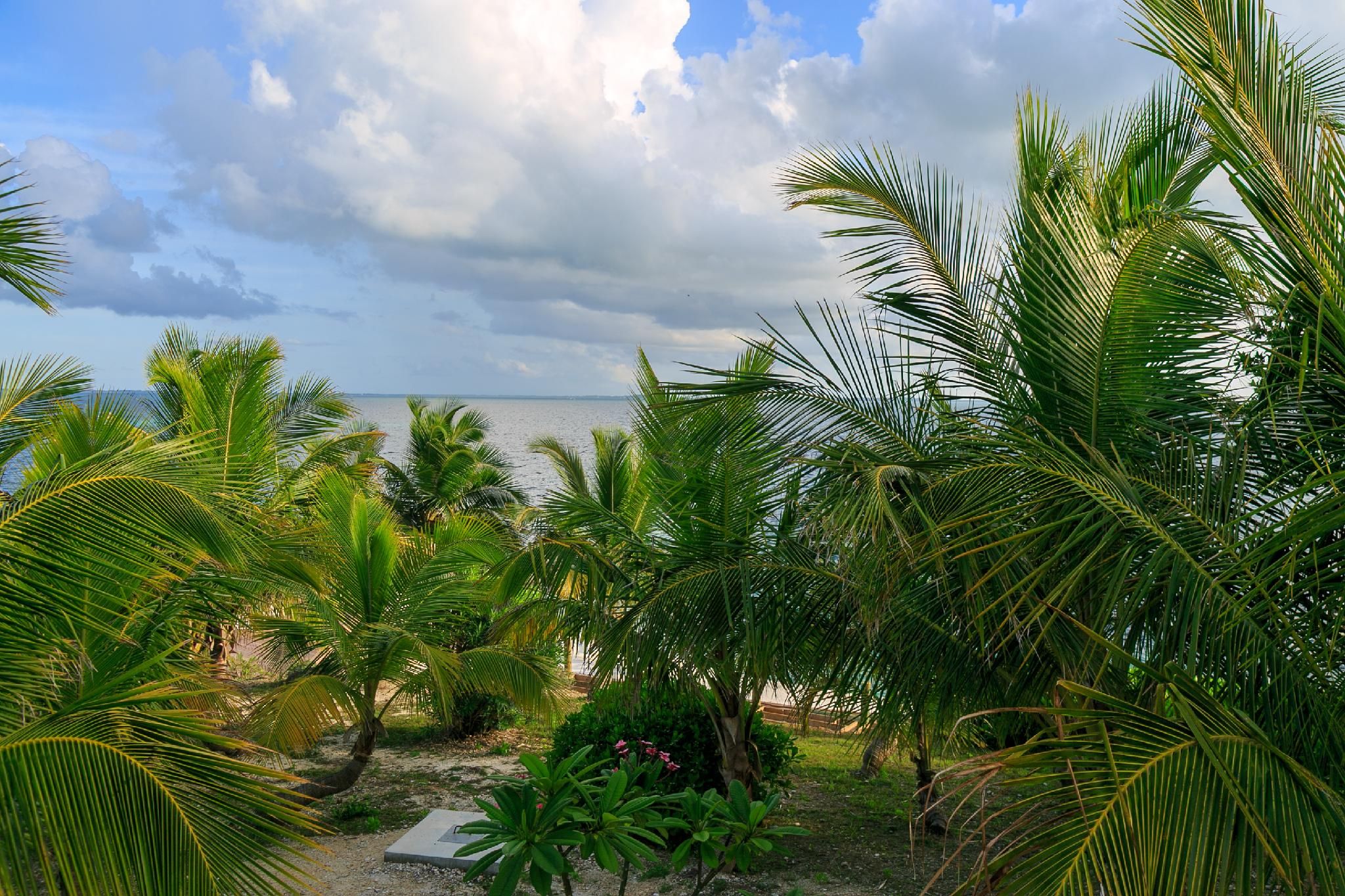 Sea View Villa