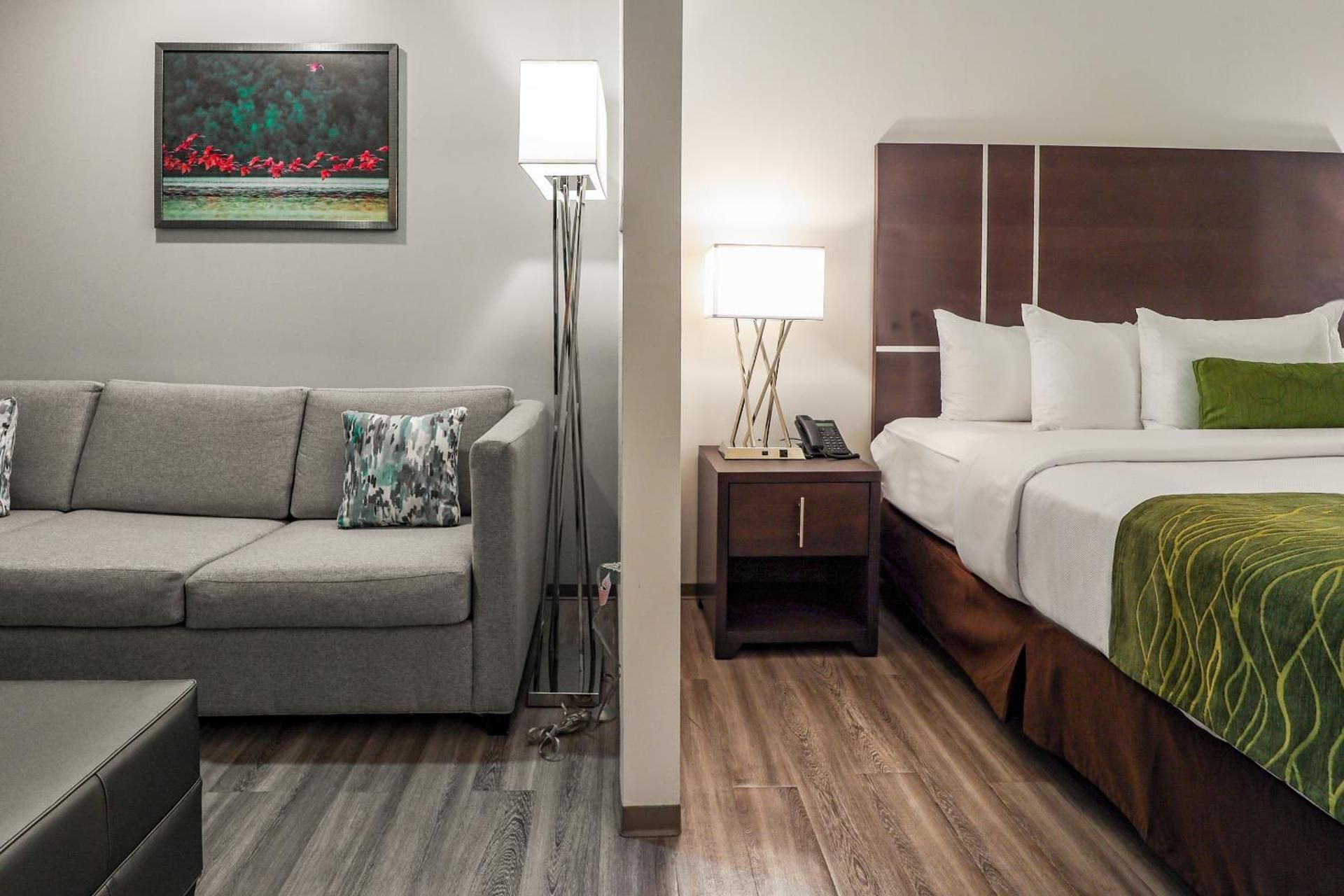 King Suite with Sofa Bed - Non-Smoking