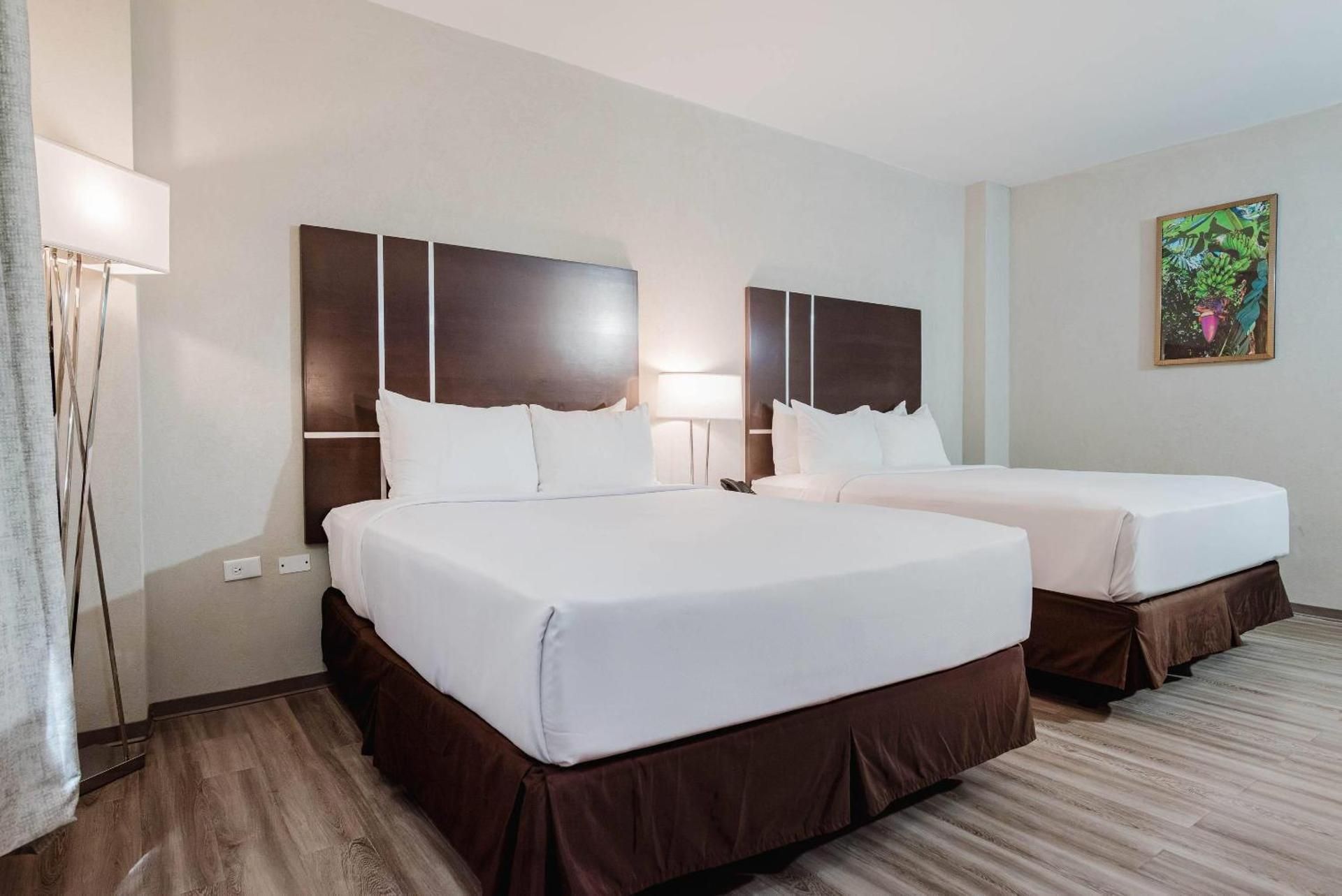 Family Suite - Non-Smoking