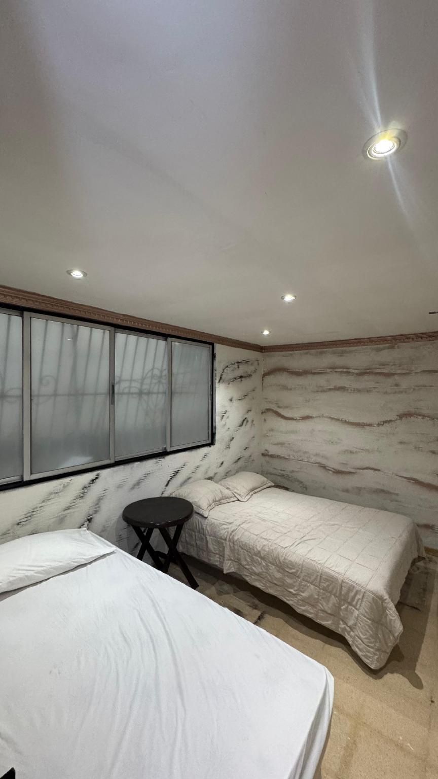 Bunk Bed in a Mixed Dormitory