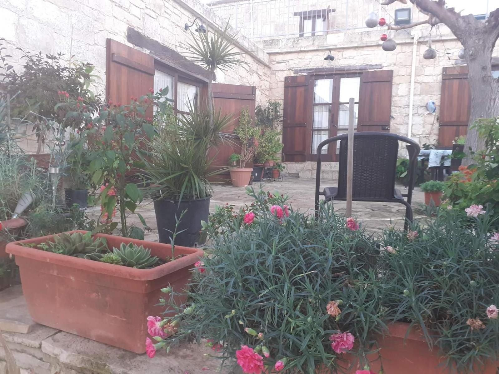 Georgia's House