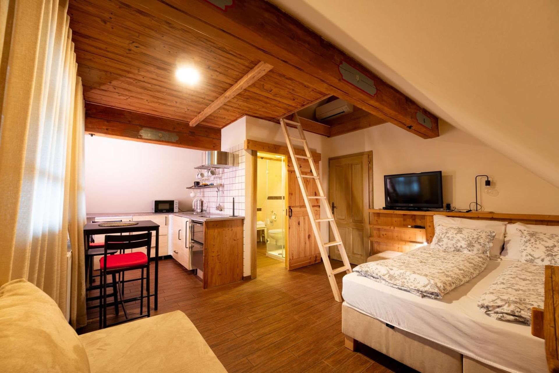 Studio Apartment