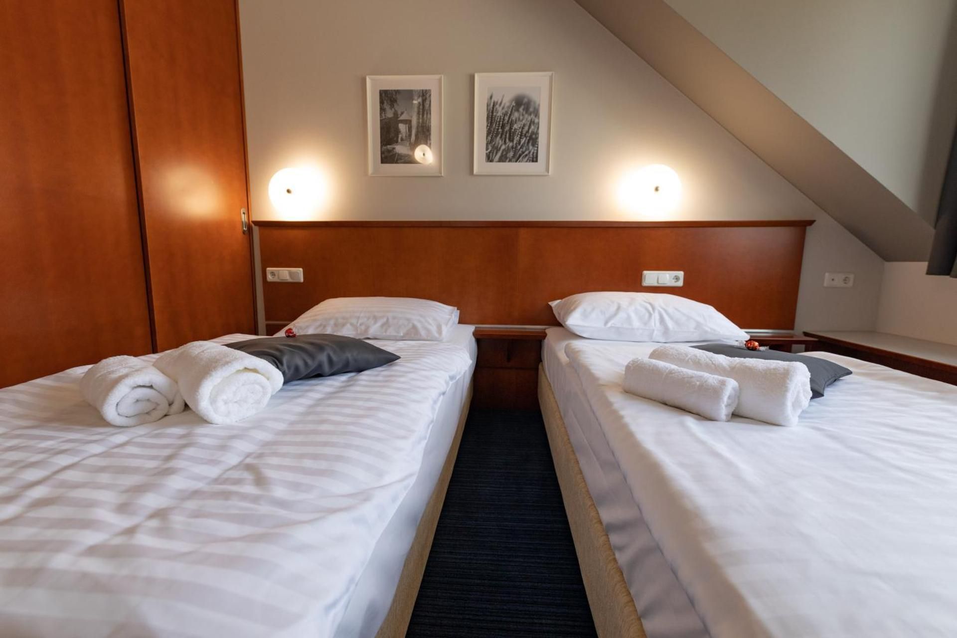 Double or Twin Room with Extra Long Bed