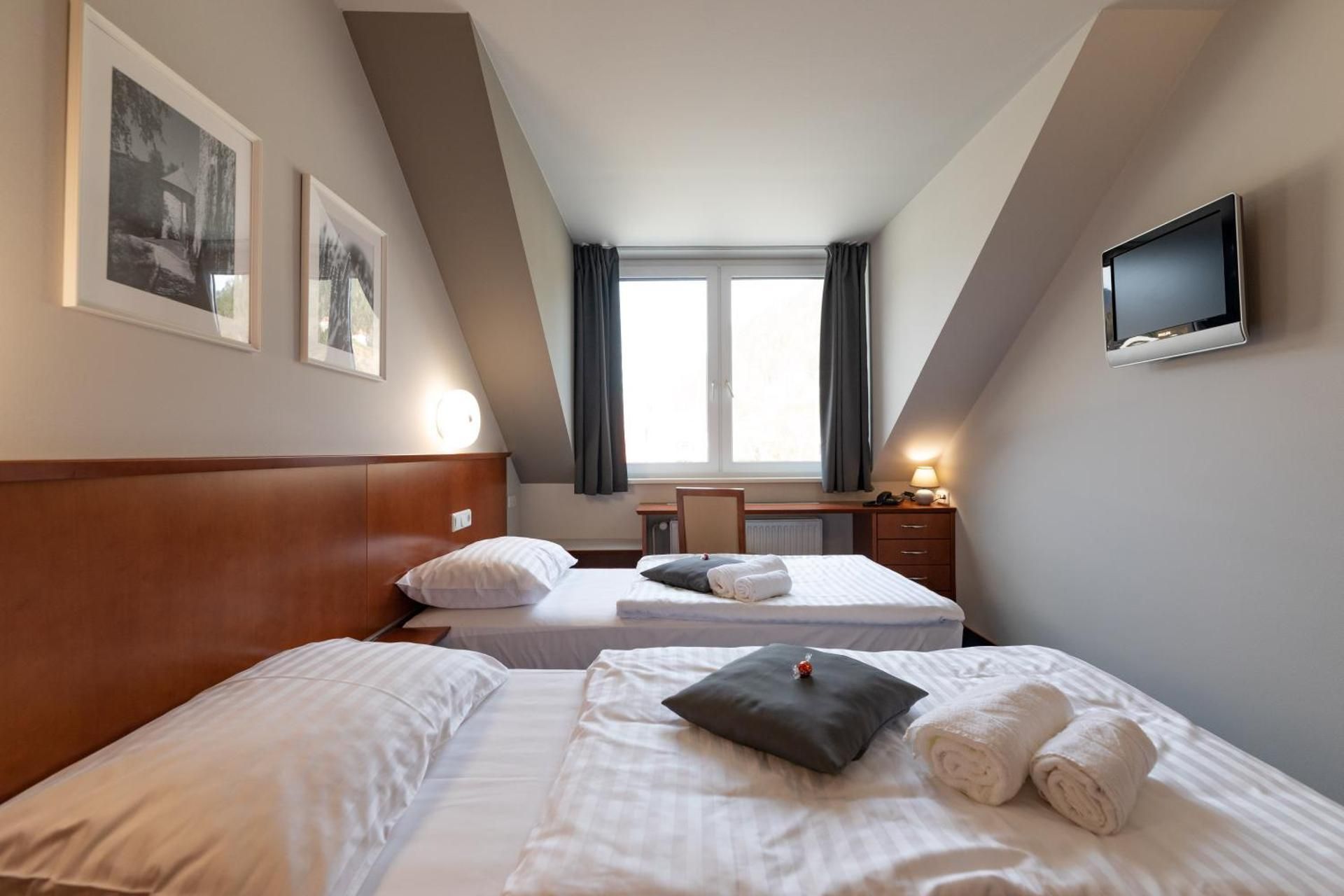 Double or Twin Room with Extra Long Bed