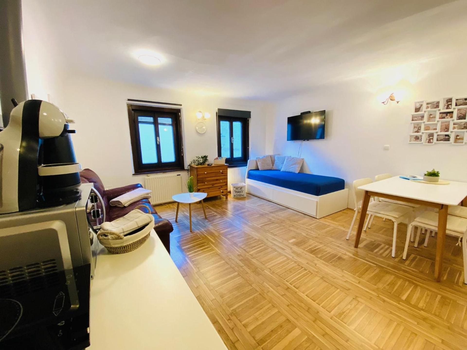 Under The Castle Apartments Ljubljana One-Bedroom Apartment with Shared Patio 2