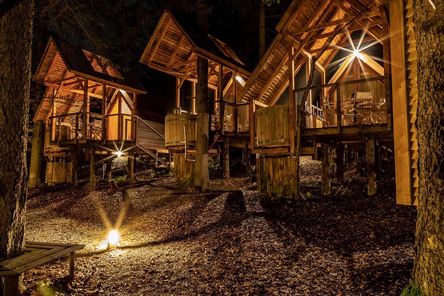 surrounding environment