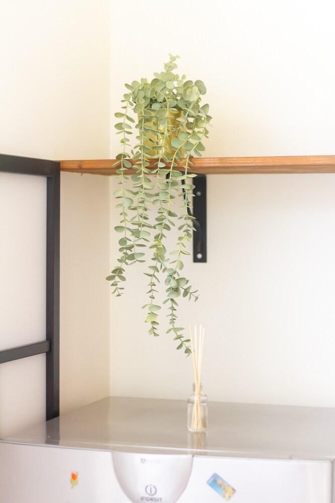 deafb38824f1c2c66e87f4ed35499555