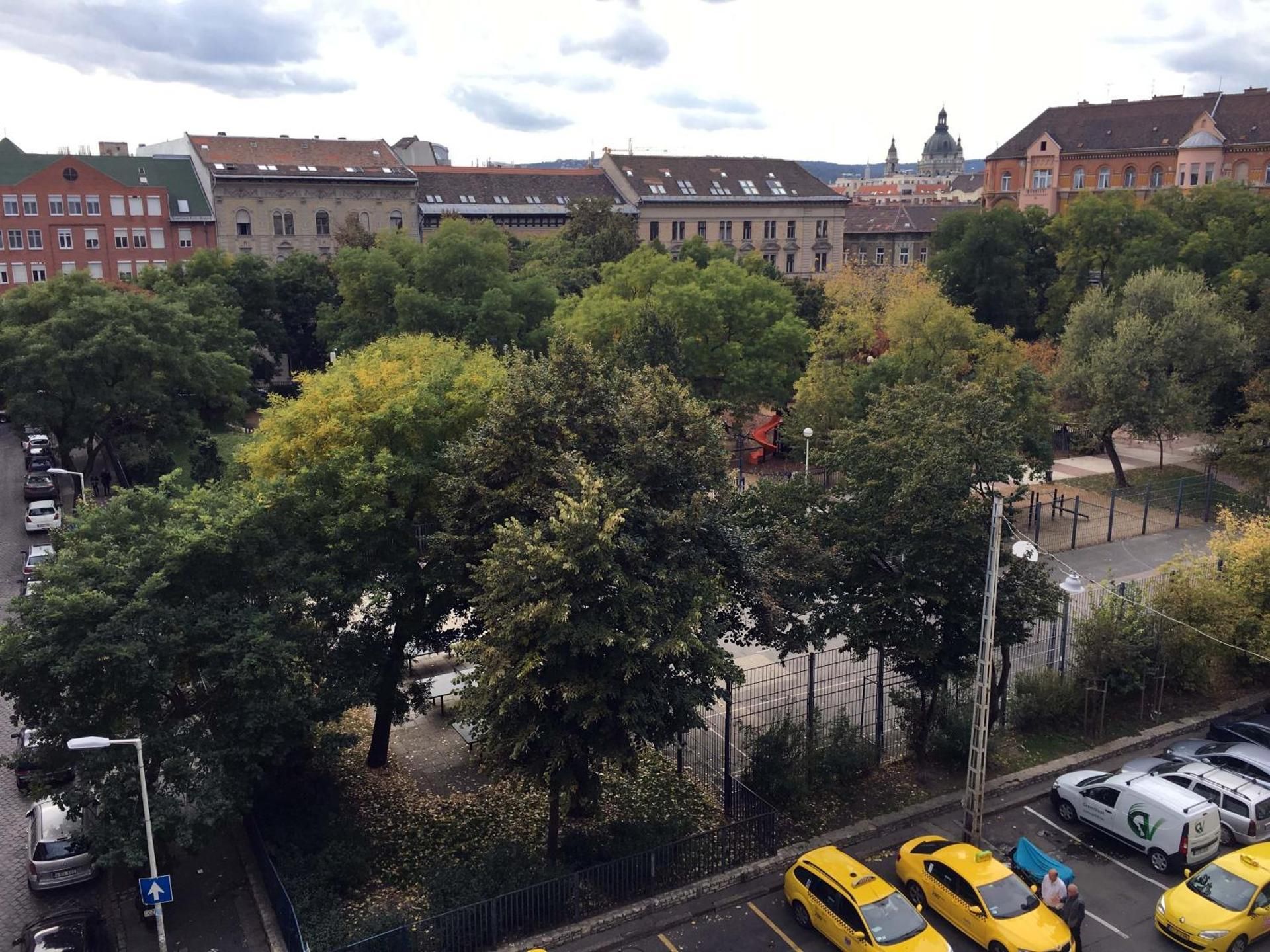 surrounding environment