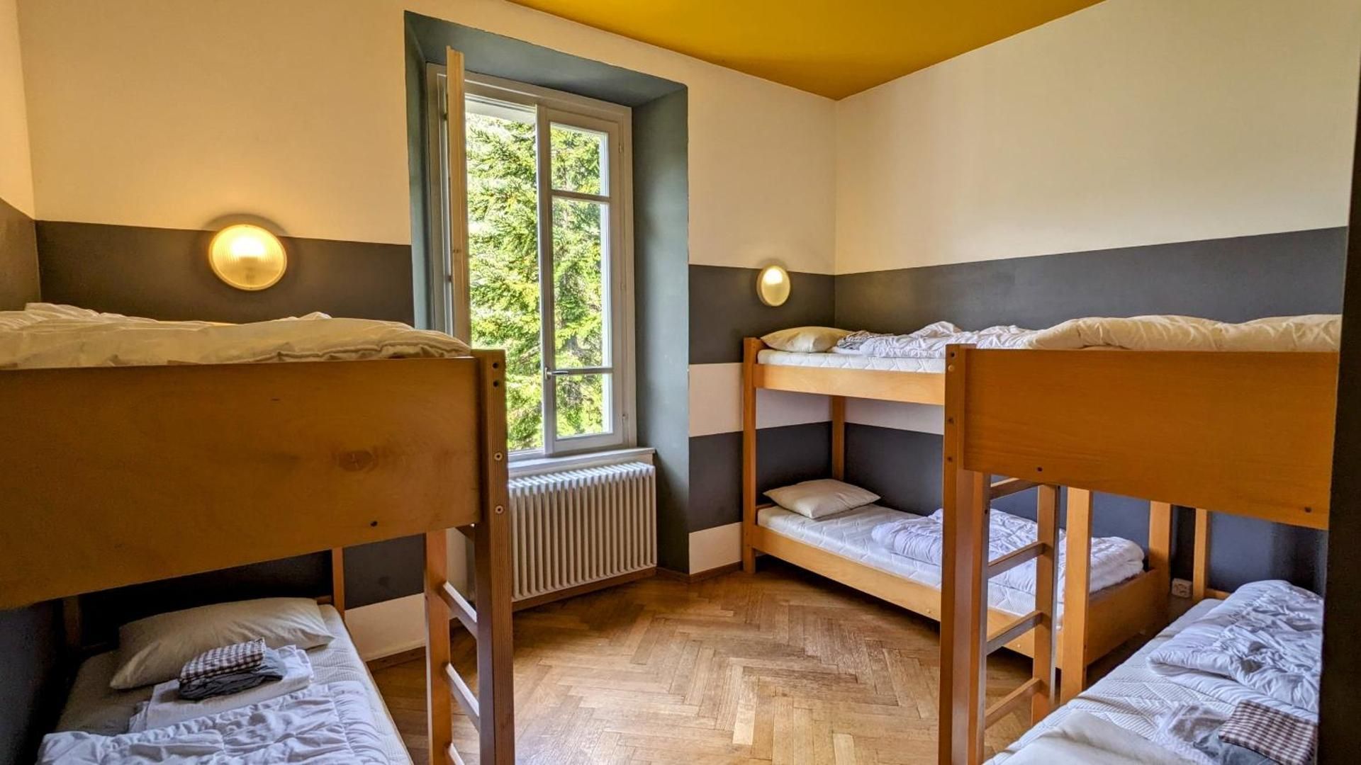 Single Bed in Mixed Dormitory Room