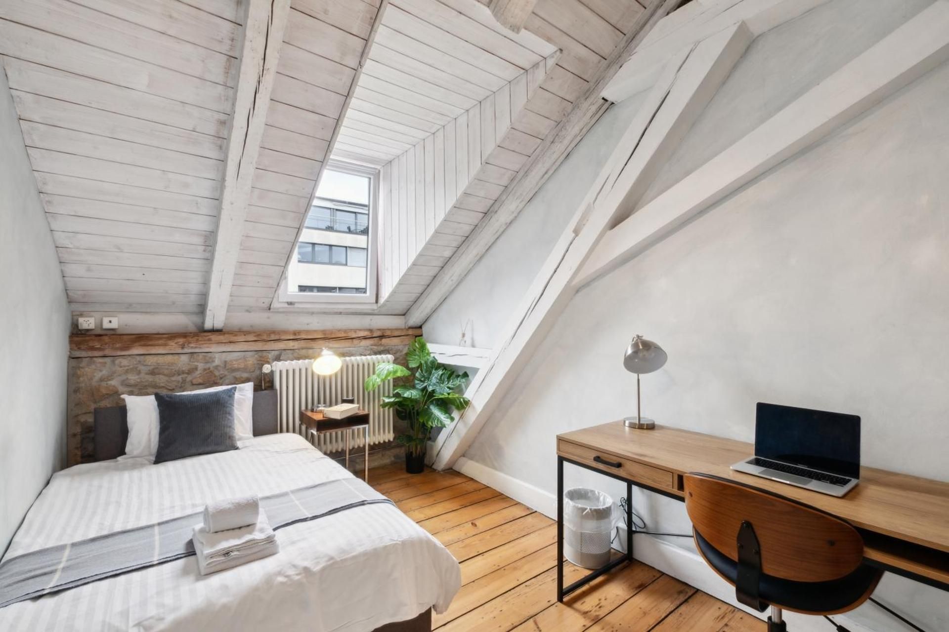 Single Room with Shared Shower and Toilet