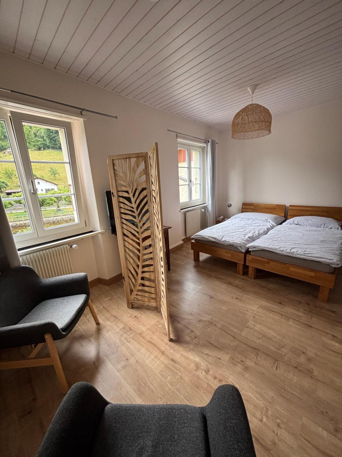 Deluxe Double or Twin Room with River View