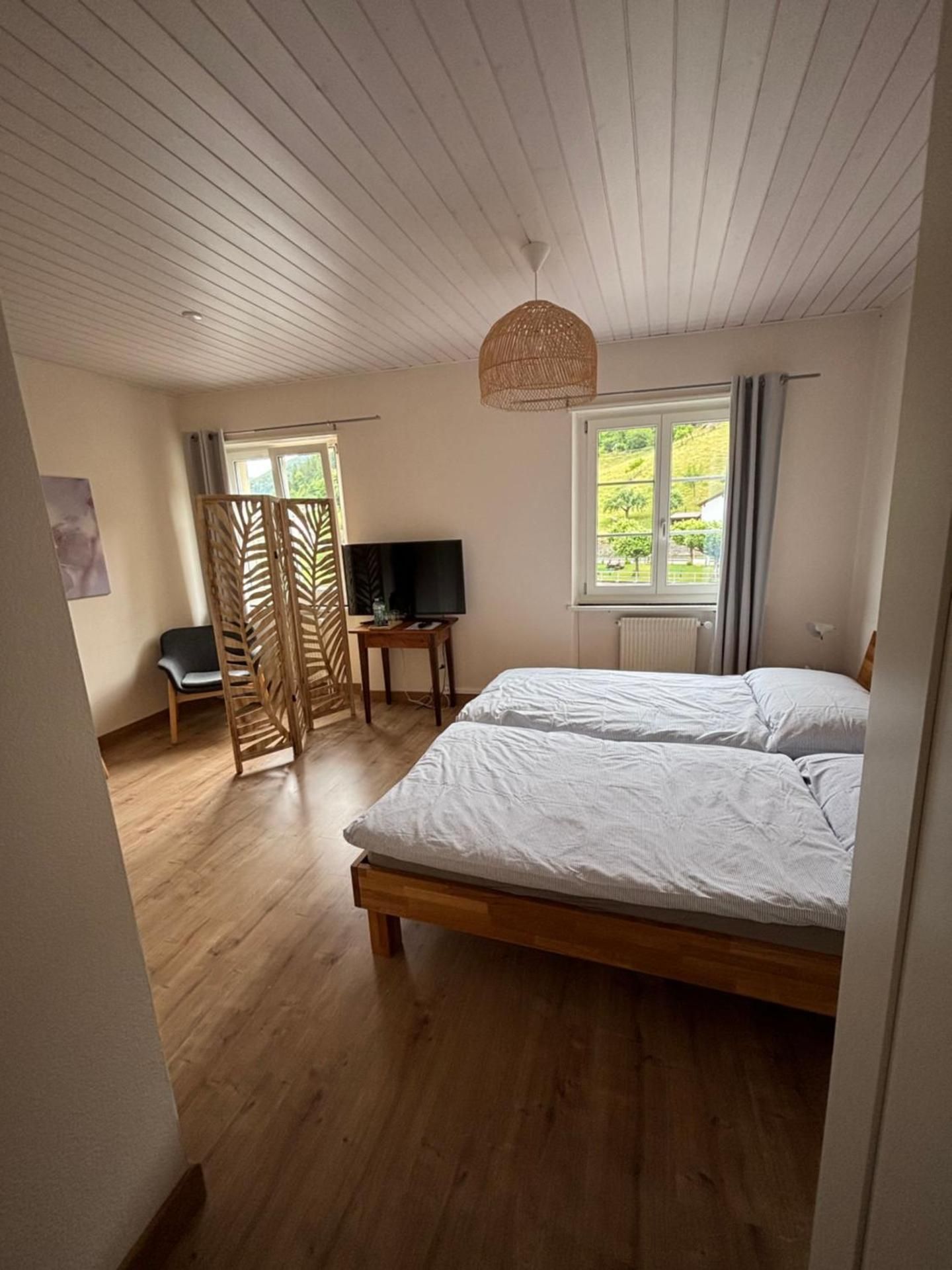 Deluxe Double or Twin Room with River View