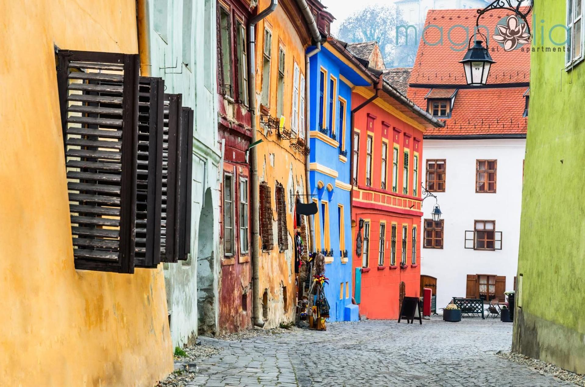 Magnolia Central Apartment #1