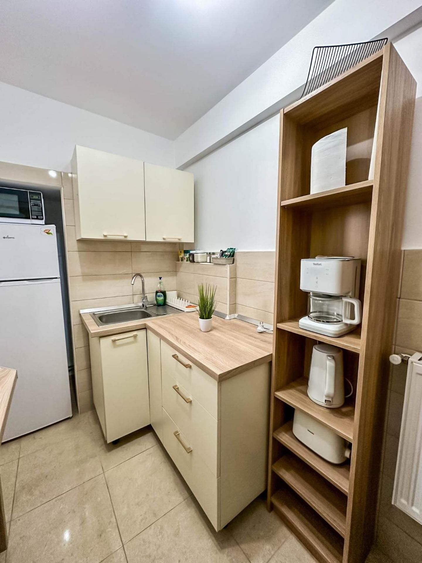 Deluxe One-Bedroom Apartment with City View