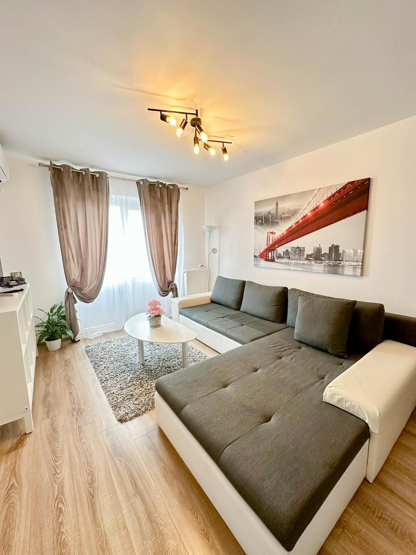 Deluxe One-Bedroom Apartment with City View