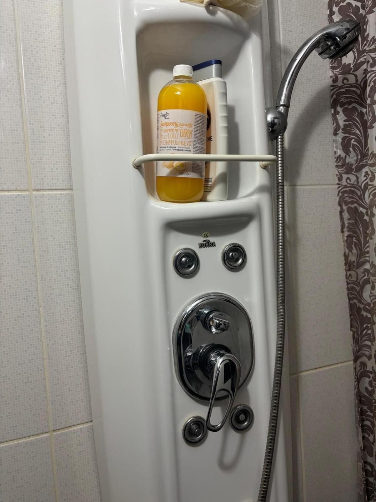 Casa cu brad