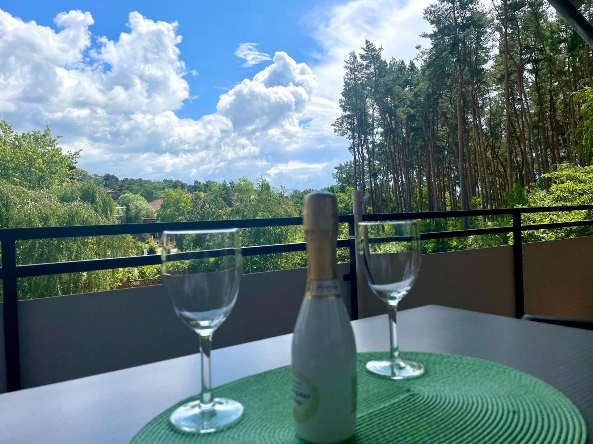 Comfort Apartment with Garden View and Loggia (2 Adults)