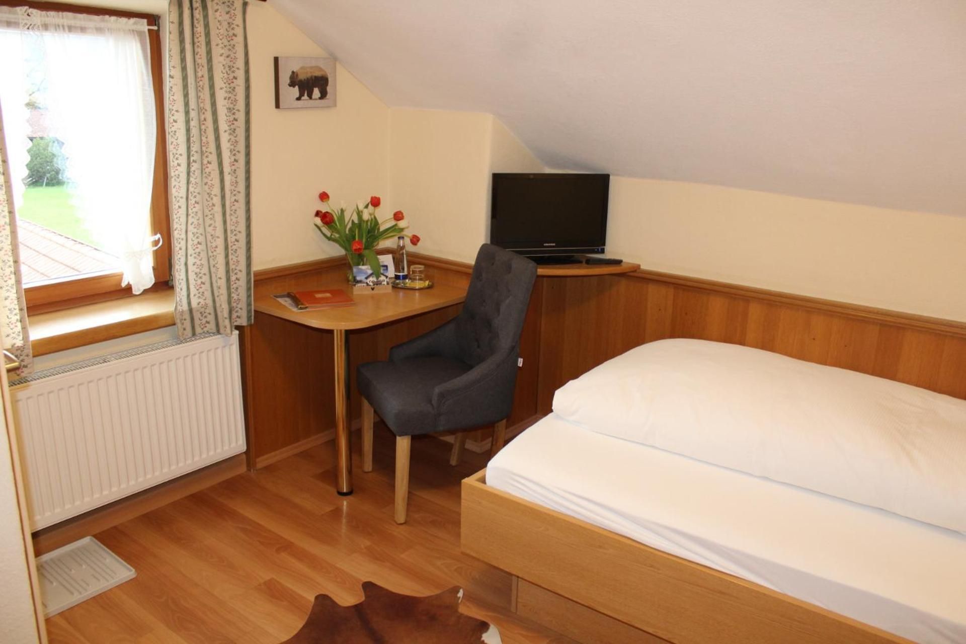 Single Room with Mountain View