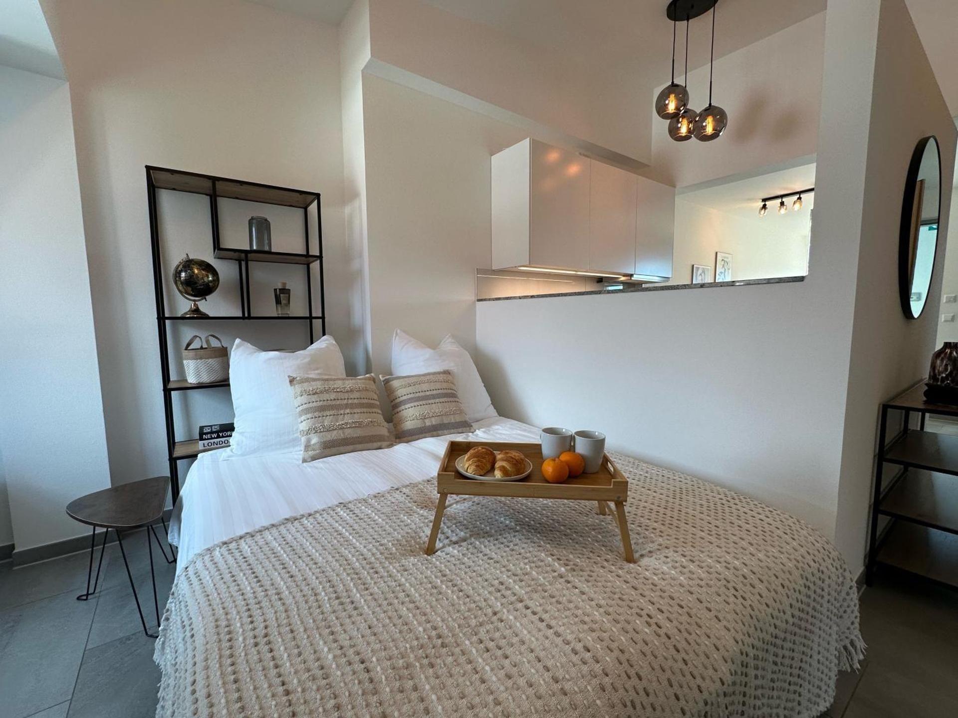 Penthouse Apartment