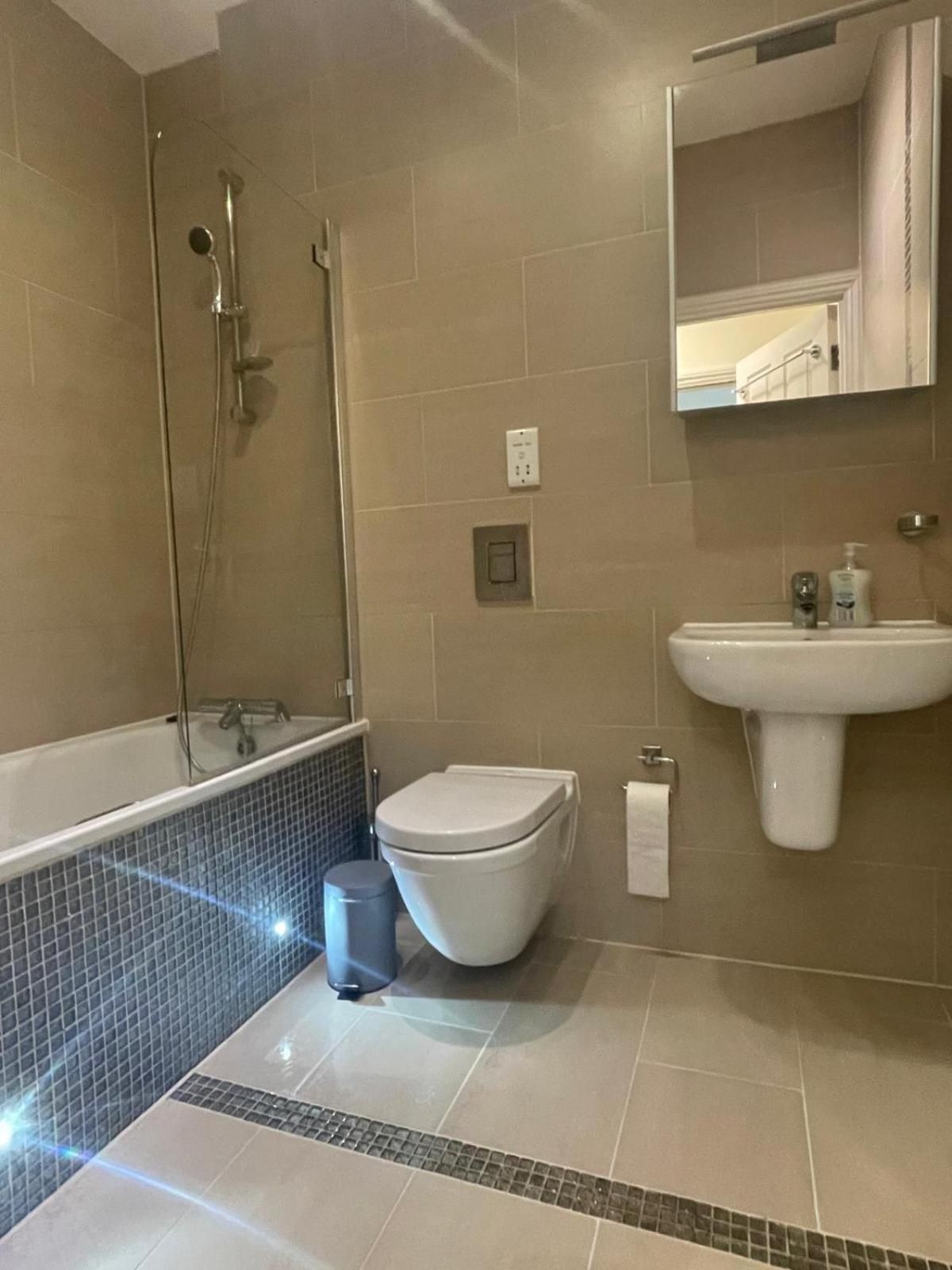 Deluxe One-Bedroom Apartment