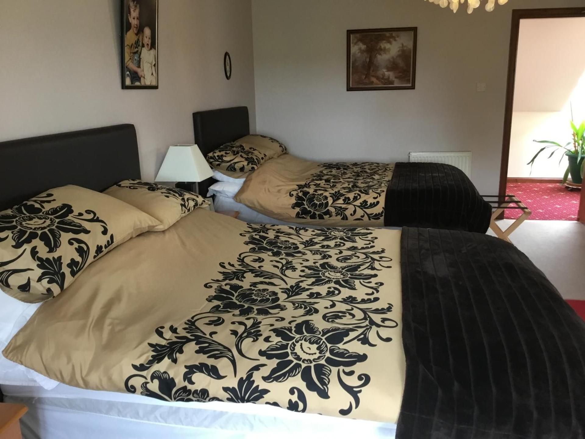 Deluxe Double or Twin Room with Mountain View