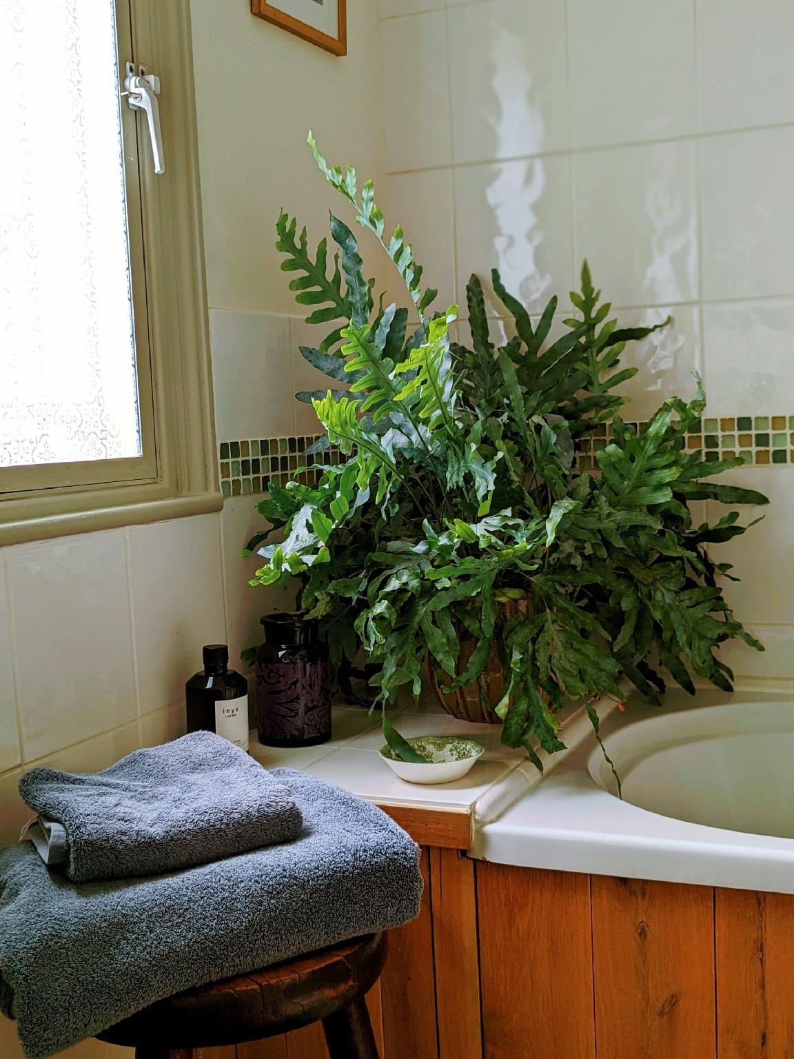 Garden View-Apartment-Private Bathroom