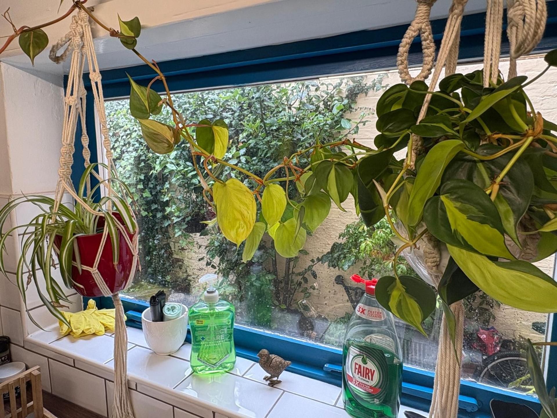 Homestay in The Heart Of Avalon