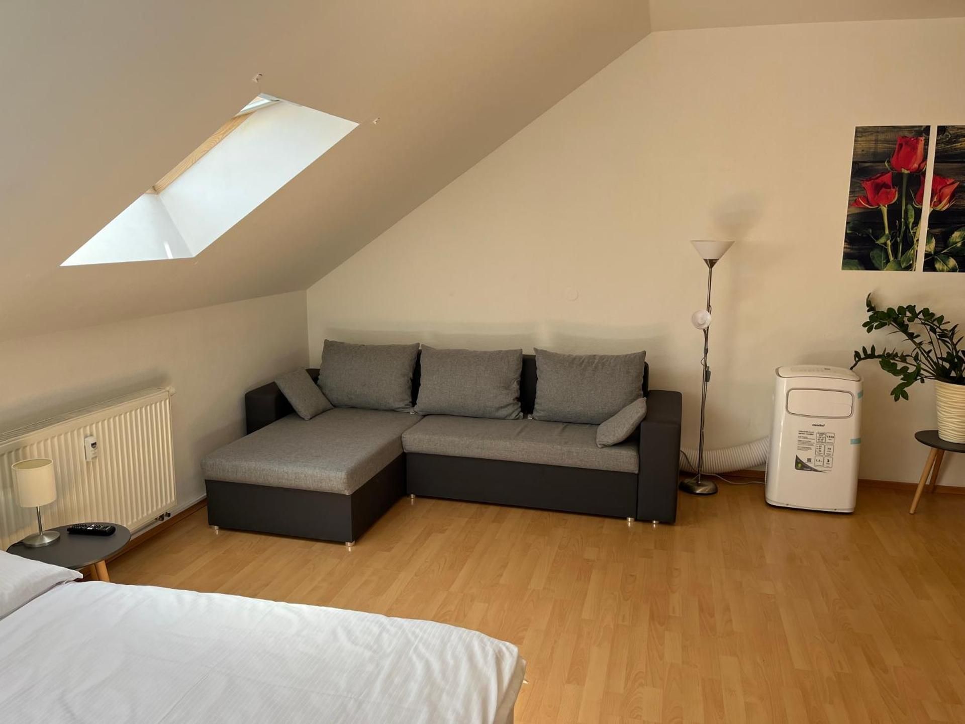 One-bedroom Loft Apartment 
