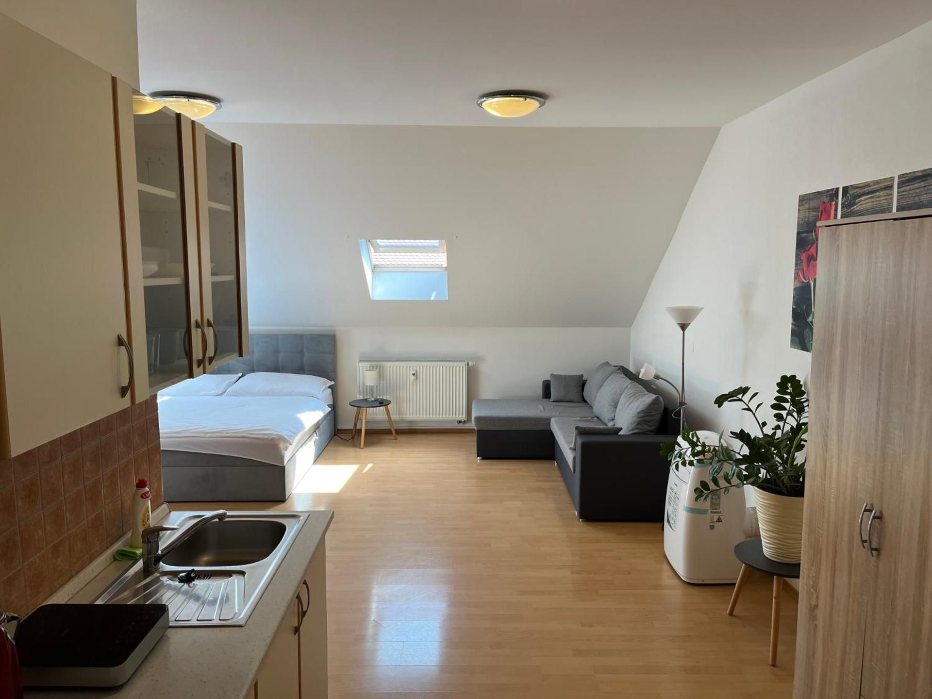 One-bedroom Loft Apartment 