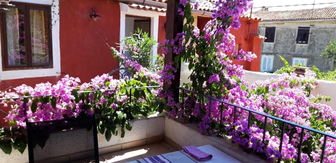 Apartman i Sobe Cule Cres