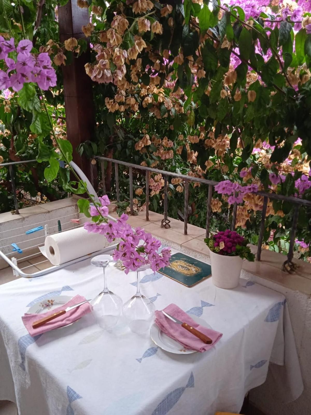 Apartman i Sobe Cule Cres
