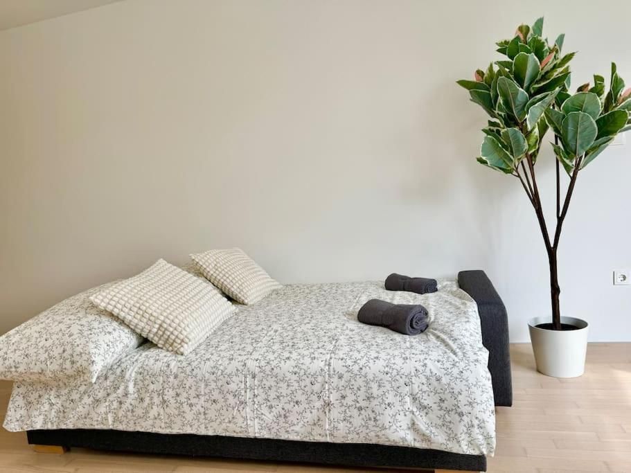 Classic Apartment