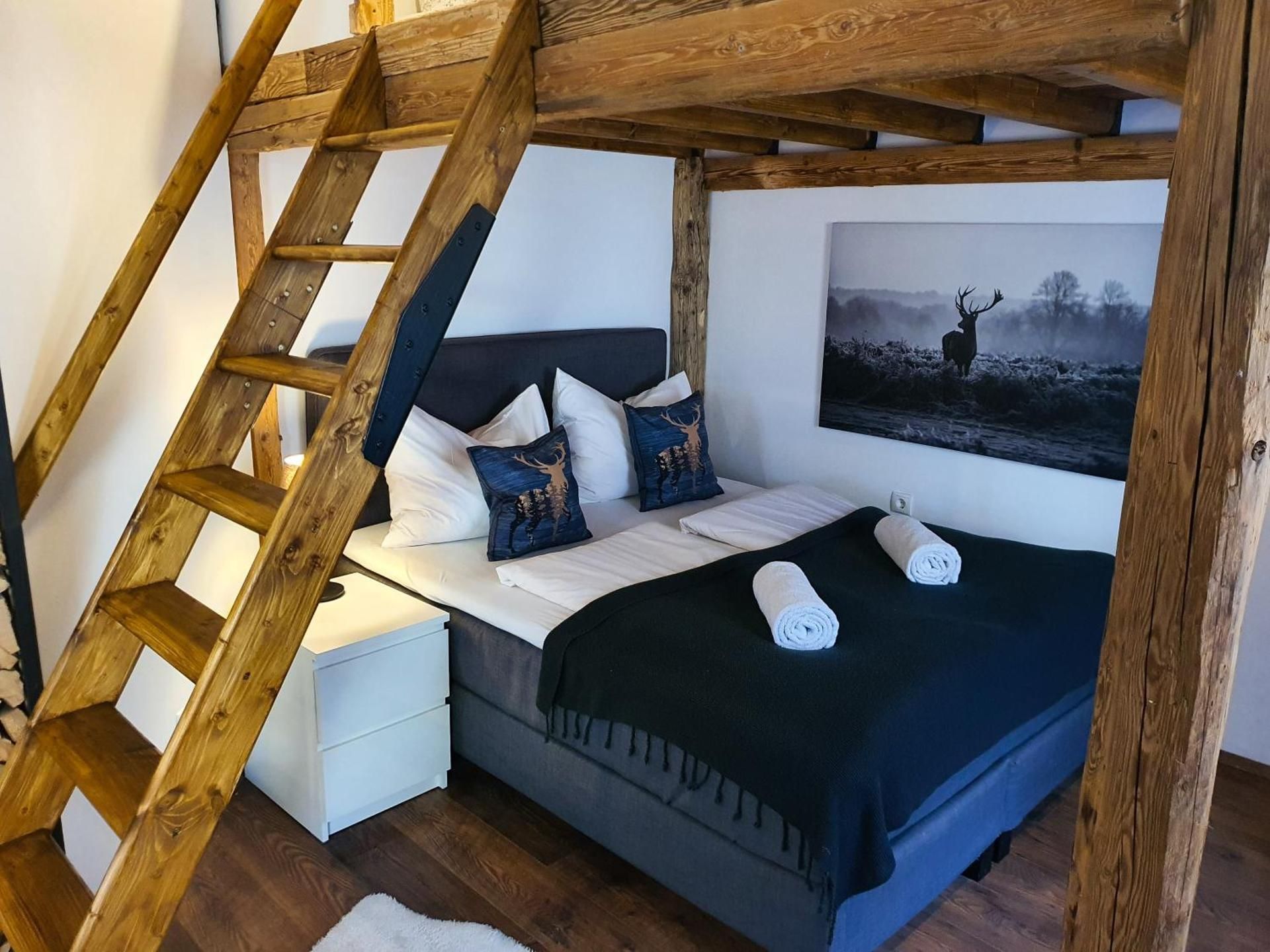 Studio Apartment