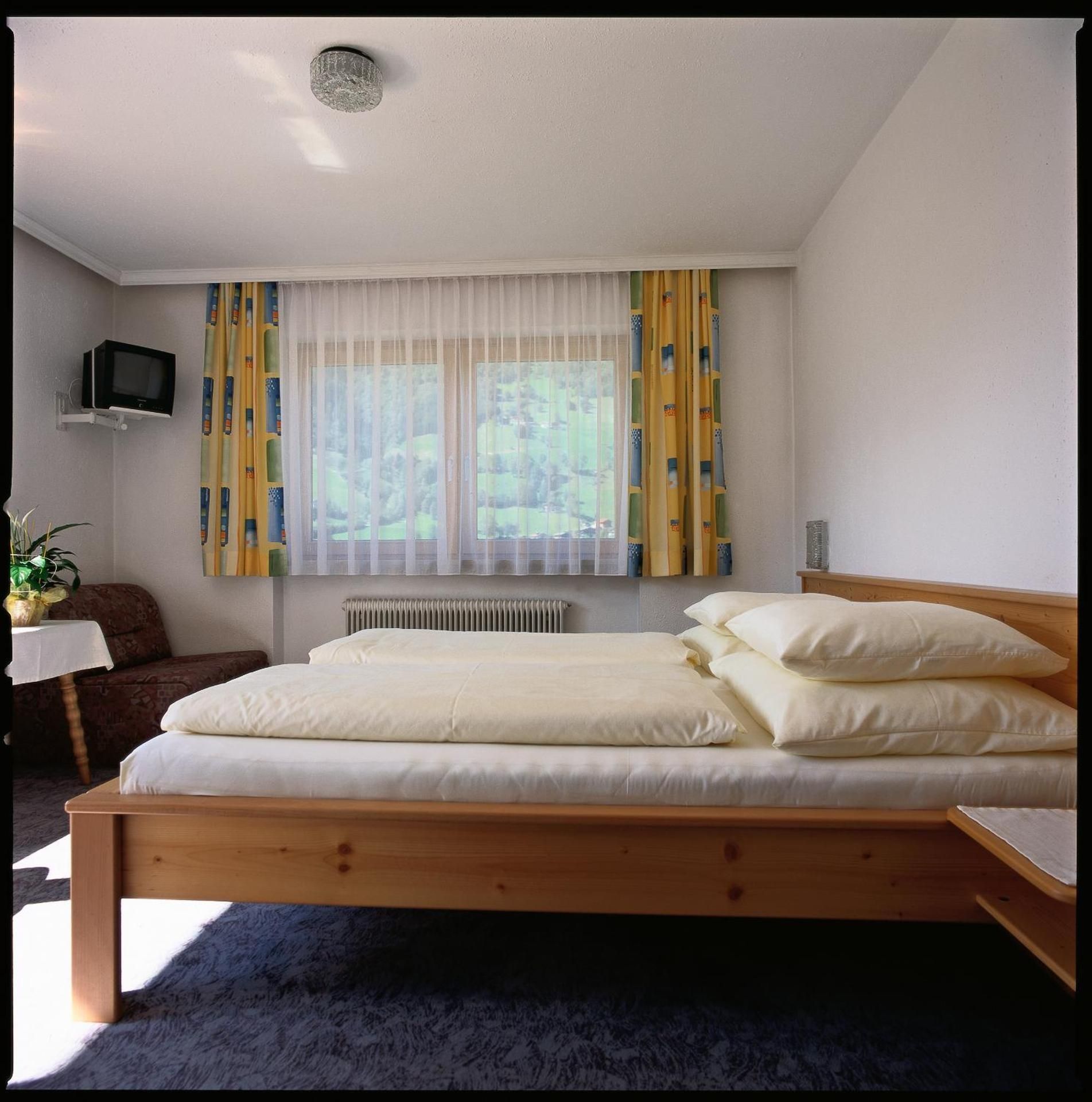 Double Room with Mountain View