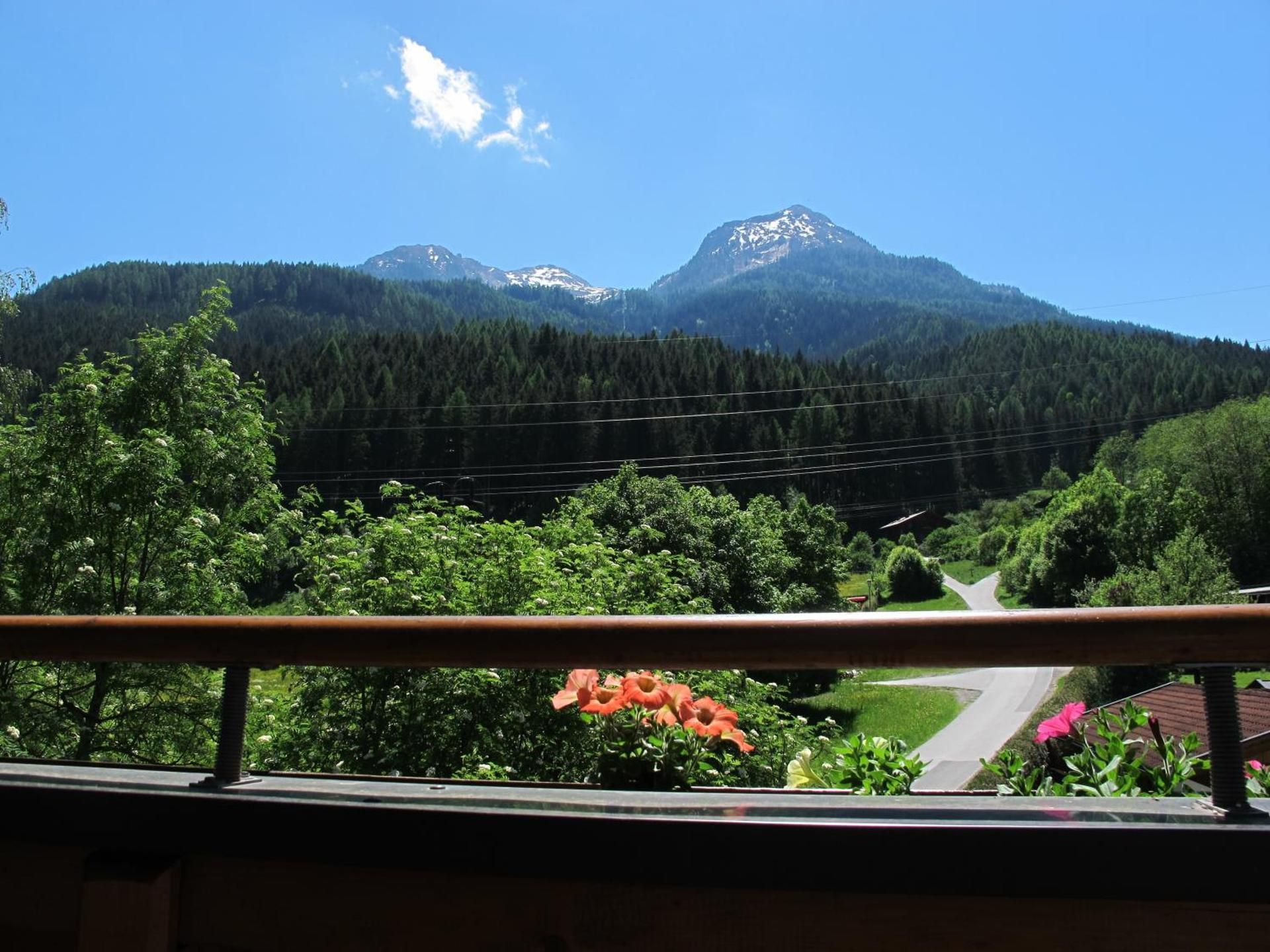 Standard Single Room with Mountain View