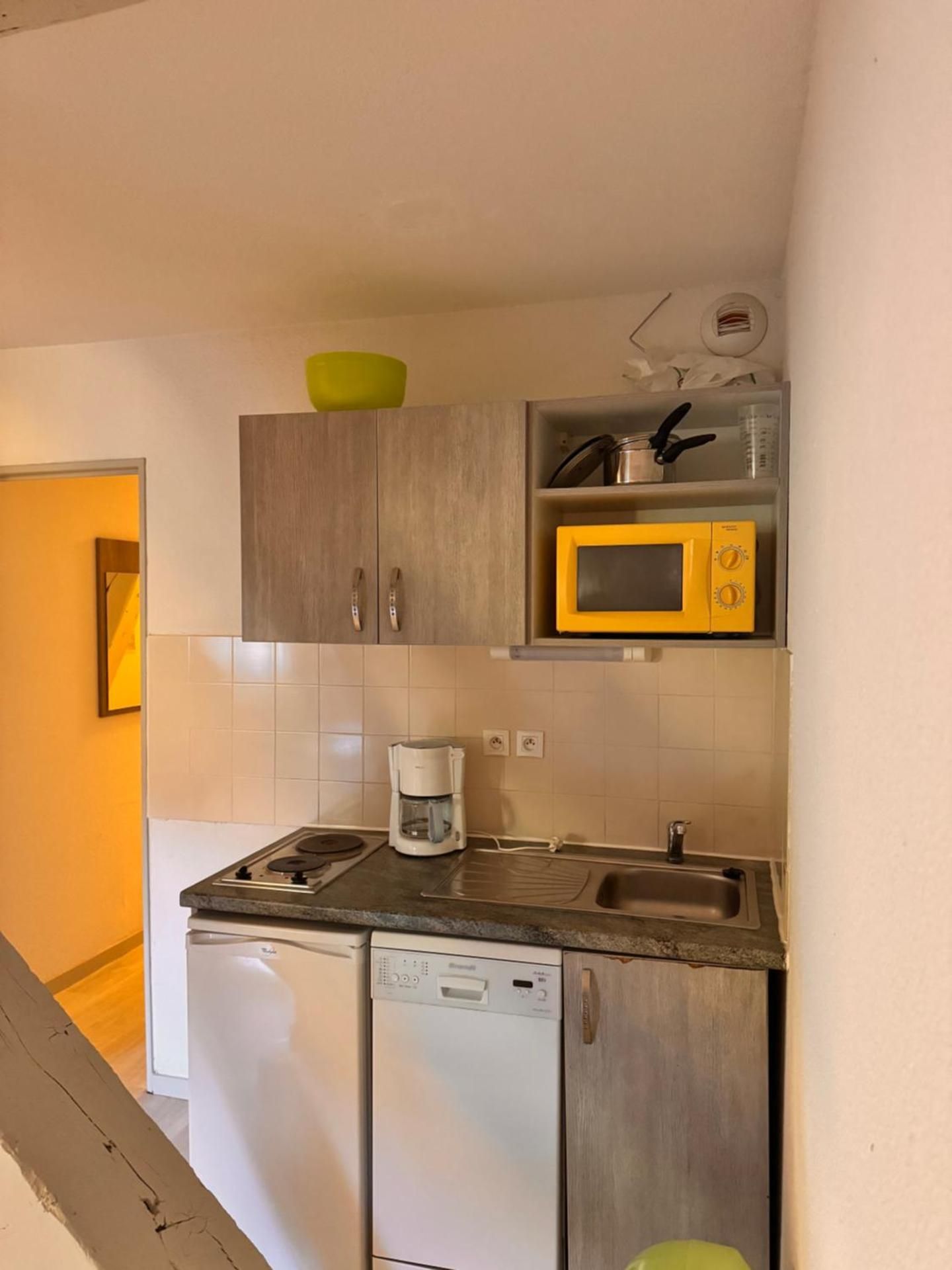 Apartment with Mountain View