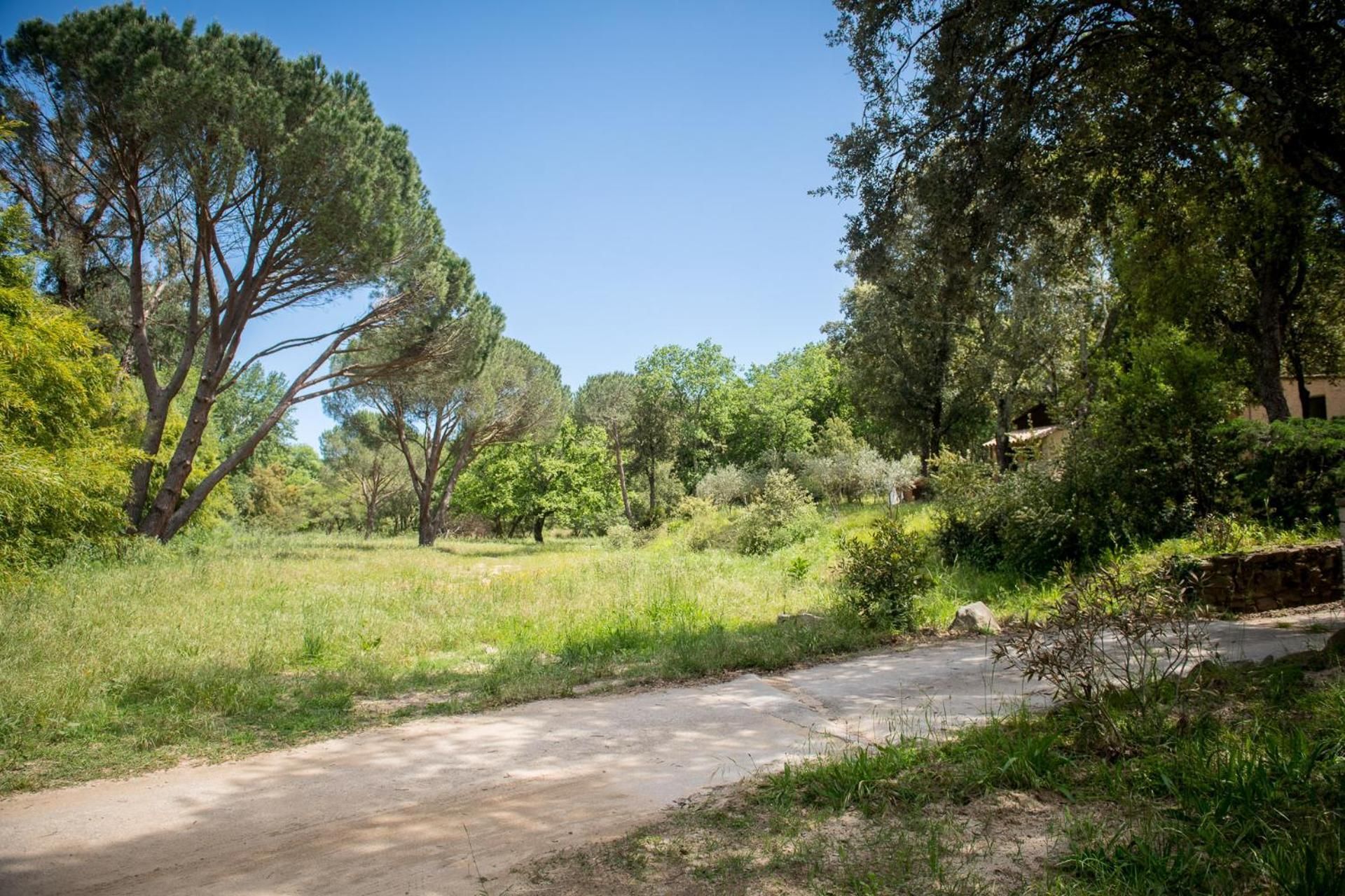 surrounding environment