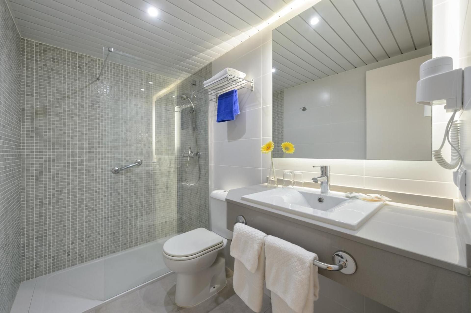 Superior Double or Twin Room with Terrace