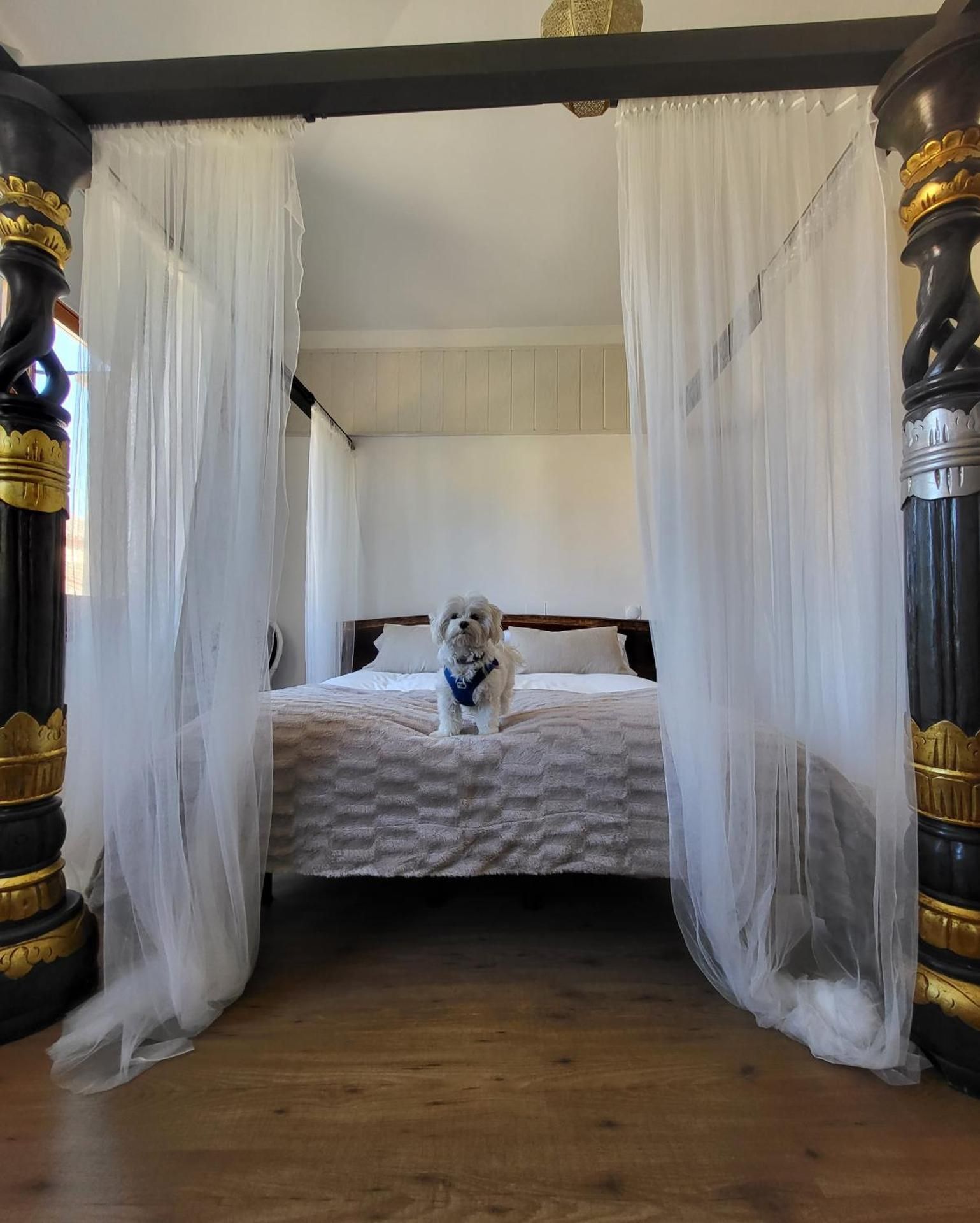 Double or Twin Room with Private Bathroom
