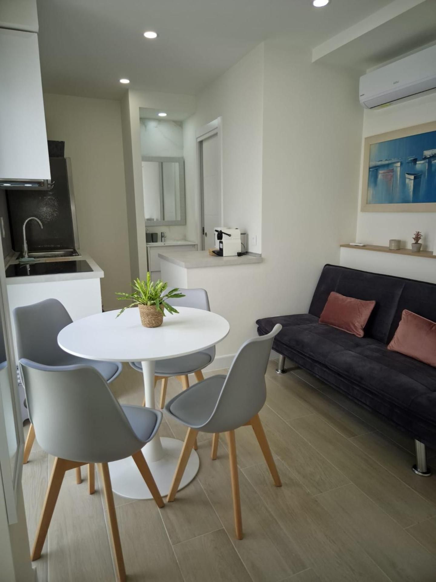Studio with Sofa Bed